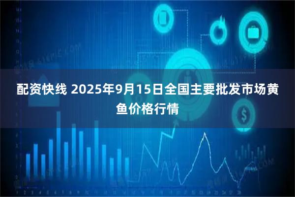 配资快线 2025年9月15日全国主要批发市场黄鱼价格行情