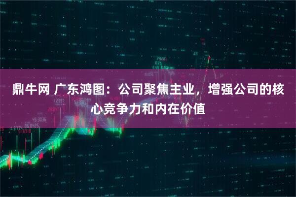 鼎牛网 广东鸿图：公司聚焦主业，增强公司的核心竞争力和内在价值