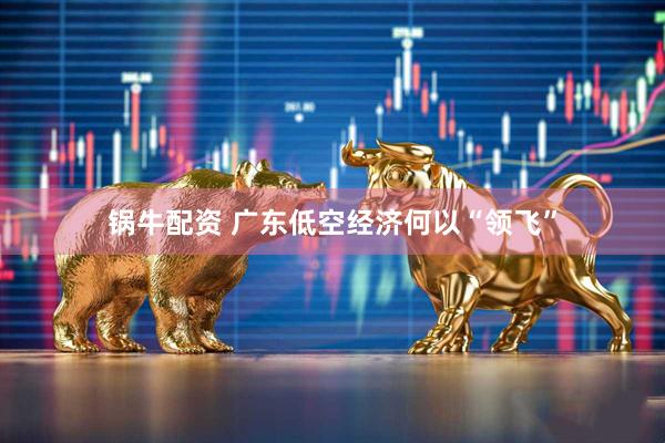 锅牛配资 广东低空经济何以“领飞”